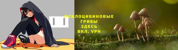 spice Алексин