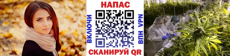 Бошки марихуана ГИДРОПОН  Алзамай 